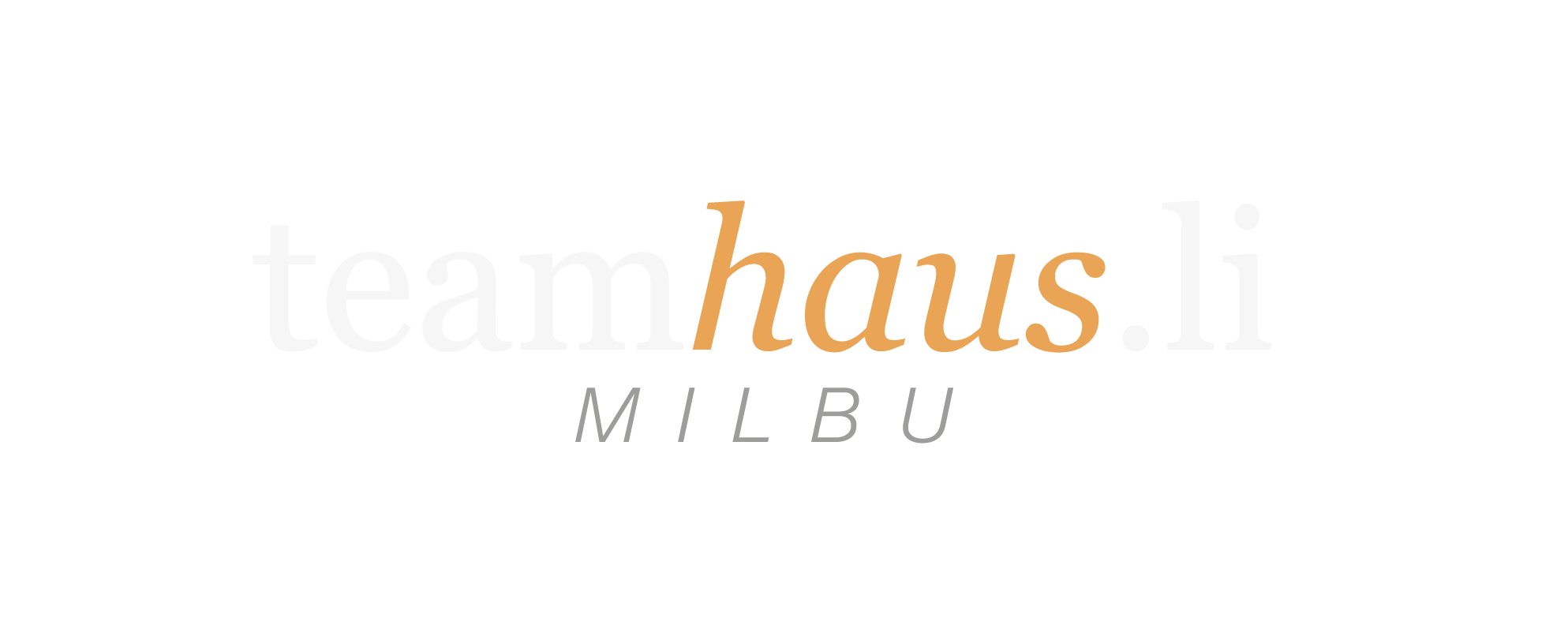 teamhaus.li — Team-Haus Milbu